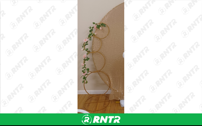 Generic Room Enhancements - Hoop Stand – For rent in chicago, illinois – Fiesta Party Rental | RNTR.com – Image 1