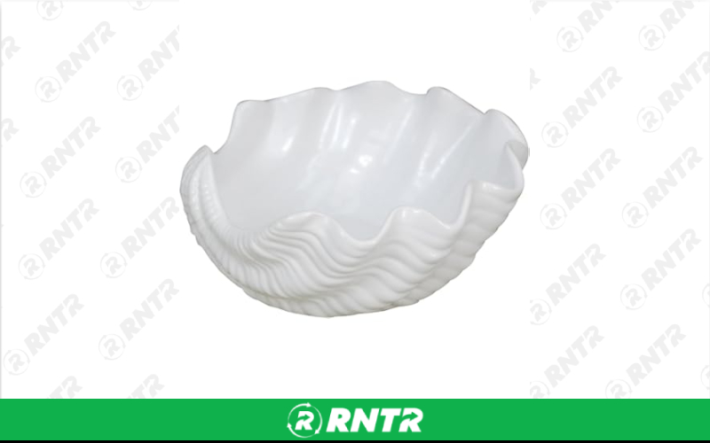 Generic Seashell Serving Bowl – For rent in Hiram, Georgia – Unlimited Party Rental | RNTR.com – Image 1