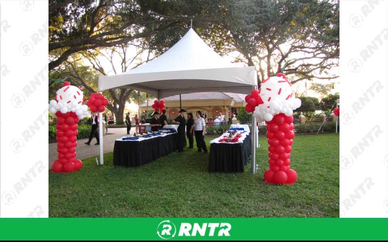 Summer Exclusive 15'x15' Summer BBQ Special – For rent in lakeland, florida – Premier Parties, LLC | RNTR.com – Image 1
