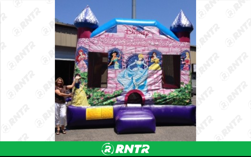 Generic Disney Princesses Premium Graphics Combo w/slide and BB hoop – For rent in howell, new-jersey – Mr. Happy Party Rentals | RNTR.com – Image 1