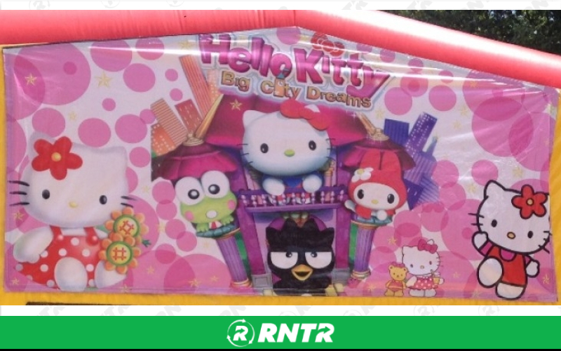 Generic Hello Kitty Combo w/slide and BB hoop – For rent in howell, new-jersey – Mr. Happy Party Rentals | RNTR.com – Image 1