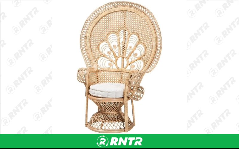 Generic Peacock Baby Shower Chair – For rent in lilburn, georgia – JVC's Party Rentals & Event Hall | RNTR.com – Image 1