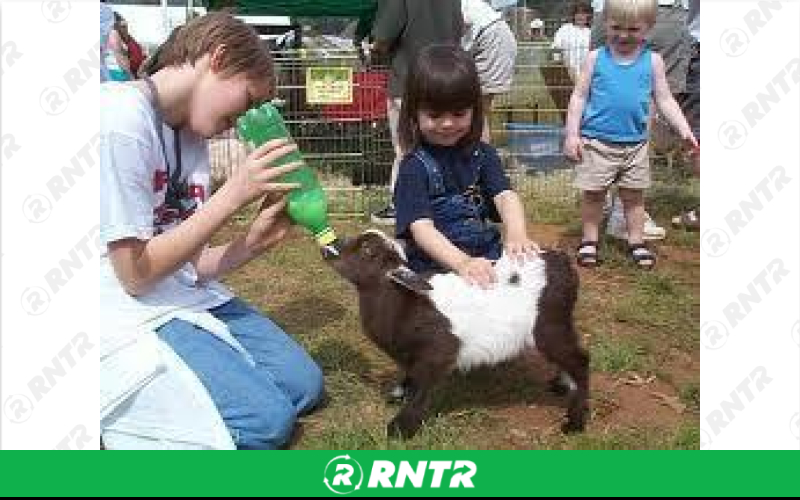 Generic Petting Zoo – For rent in mangonia-park, florida – kids bounce 4 fun | RNTR.com – Image 1