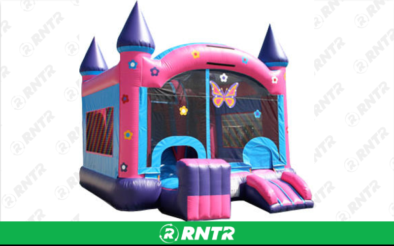 Generic Princess Butterly Combo 5n1 – For rent in sachse, texas – Fun Times Party Rental | RNTR.com – Image 1