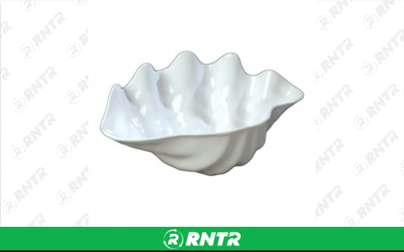 Generic Salad Bowl- White Shell – For rent in lilburn, georgia – JVC's Party Rentals & Event Hall | RNTR.com – Image 1
