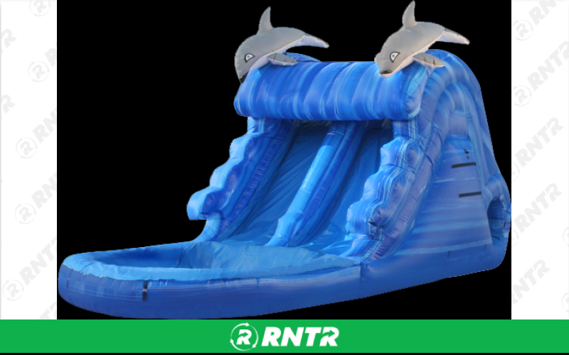 Generic Swim w the Dolphins Double Lane Water Slide – For rent in sachse, texas – Fun Times Party Rental | RNTR.com – Image 1