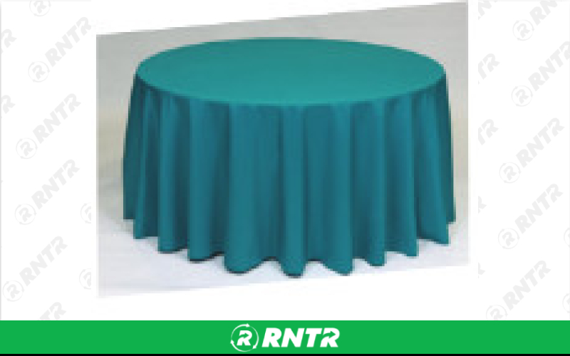 Generic Teal - 90 x 132 – For rent in broadview-heights, ohio – Broadview Rental | RNTR.com – Image 1