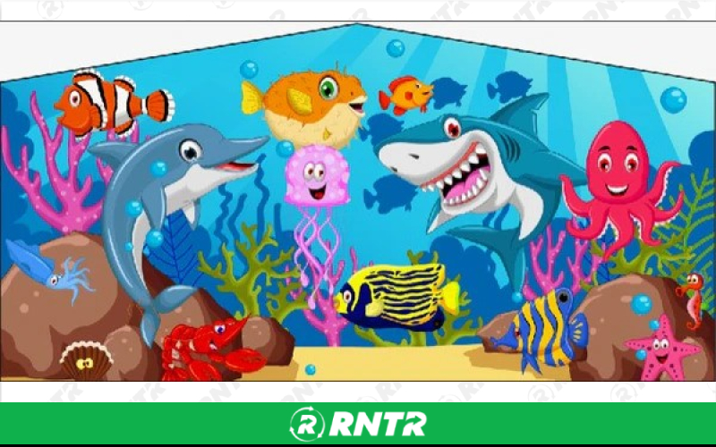 Generic Under the Sea Super Combo 20x19 w/Slide – For rent in howell, new-jersey – Mr. Happy Party Rentals | RNTR.com – Image 1