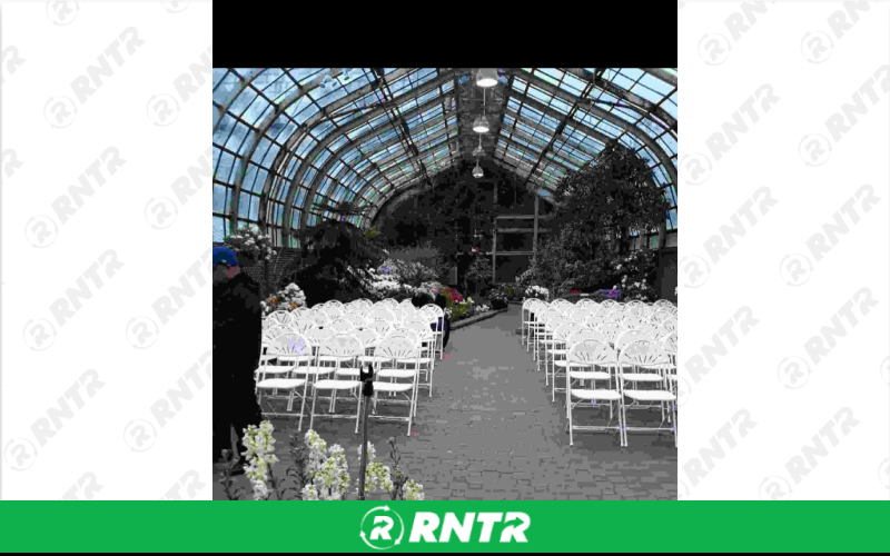 Generic White Fan-Back Chairs - Grass – For rent in chicago, illinois – Fiesta Party Rental | RNTR.com – Image 1