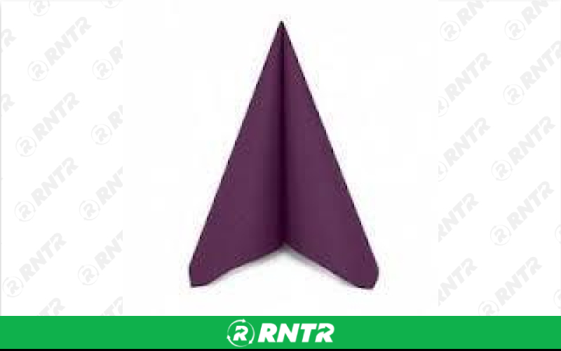 Generic Napkins - Plum Berry – For rent in fort-madison, iowa – Complete Rental | RNTR.com – Image 1