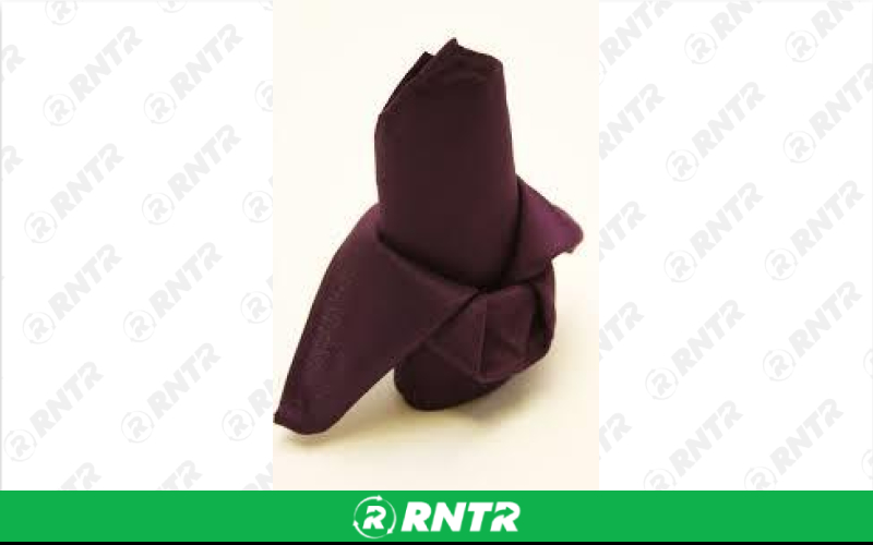 Generic Napkins - Plum – For rent in fort-madison, iowa – Complete Rental | RNTR.com – Image 1
