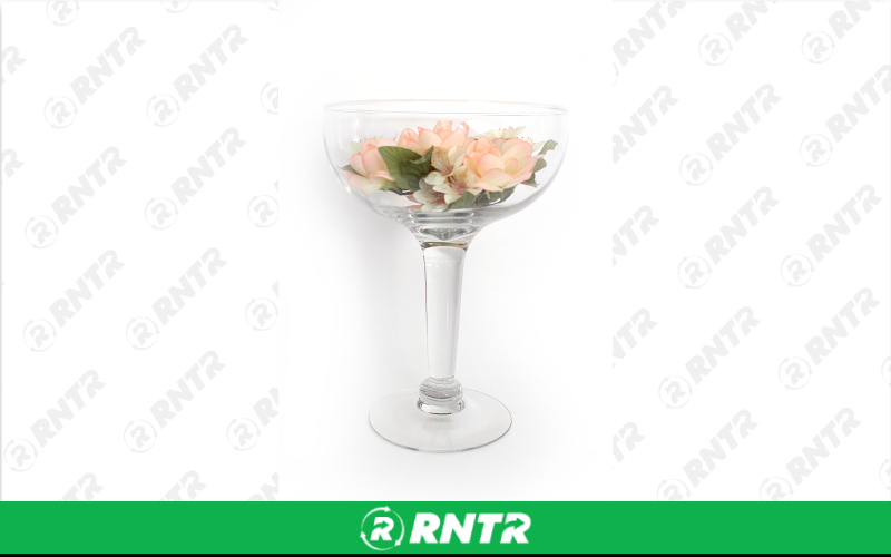 Generic 10.5 Champagne Style Dish – For rent in york, pennsylvania – A and R Rental | RNTR.com – Image 1