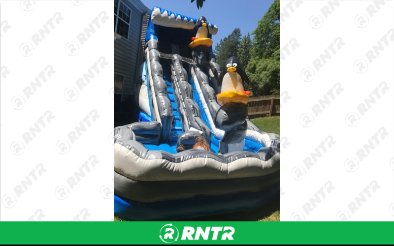 Generic Arctic Wave Water Slide – For rent in ruckersville, virginia – SuperFun Attractions | RNTR.com – Image 1