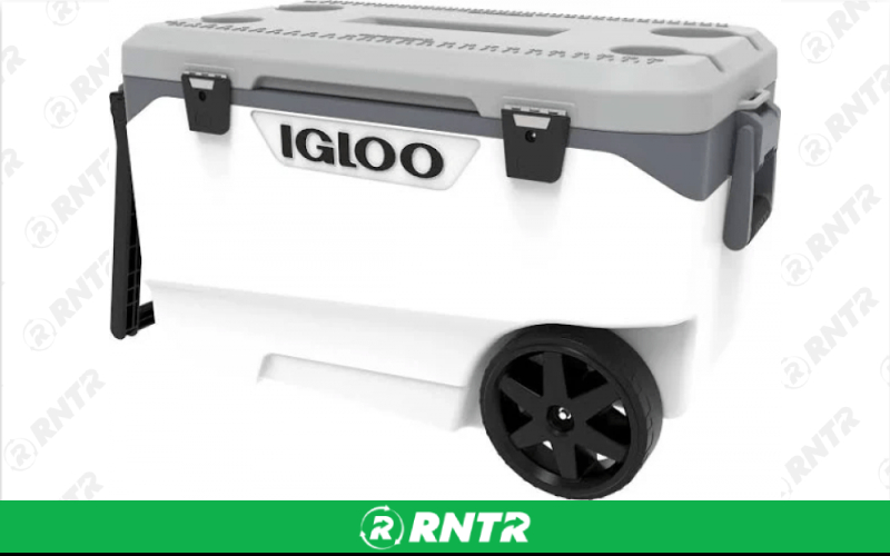 Generic Ice Cooler – For rent in ruckersville, virginia – SuperFun Attractions | RNTR.com – Image 1