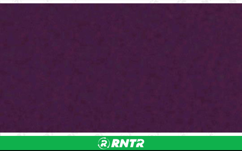 Generic RUNNER - EGGPLANT – For rent in Lafayette, Indiana – Midwest Rentals Inc  | RNTR.com – Image 1 of 1