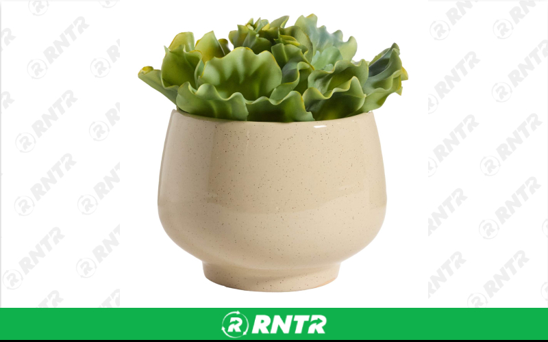 Generic IVY PLANTER SMALL LEAF – For rent in uniontown, pennsylvania – Fayette Rental Solutions | RNTR.com – Image 1