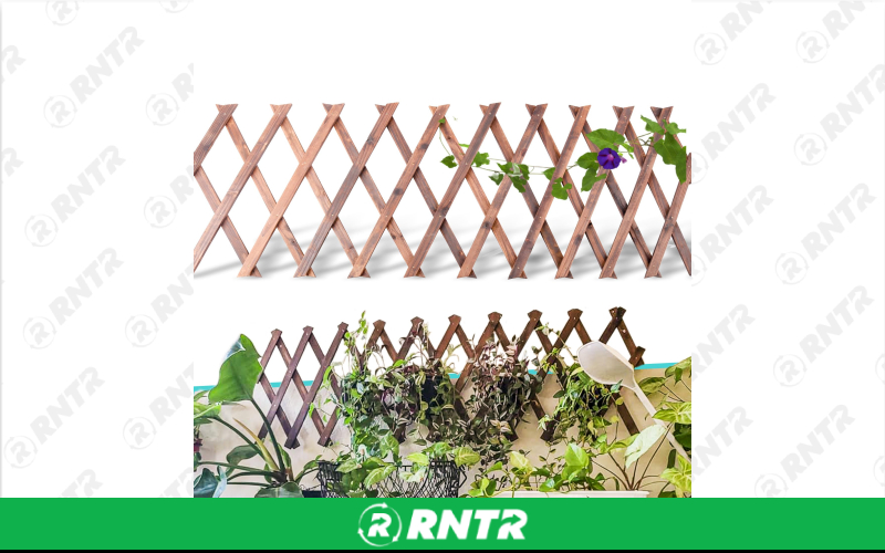 Generic LATTICE ROSEGARDEN – For rent in uniontown, pennsylvania – Fayette Rental Solutions | RNTR.com – Image 1
